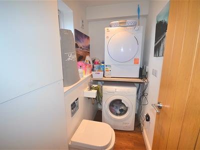 Picture 13
